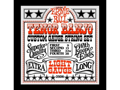 Ernie Ball Light Loop End Stainless Steel Tenor Banjo Guitar Strings