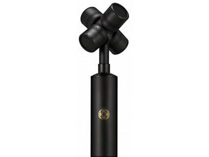 ntsf1 mic