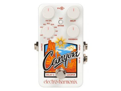 Electro Harmonix Canyon Delay & Looper