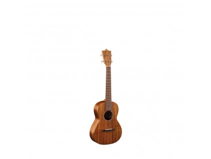 Martin T1K Uke