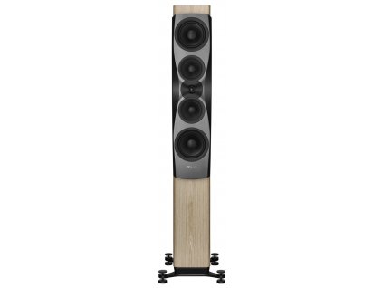 dynaudio confidence 50 blonde wood i17175