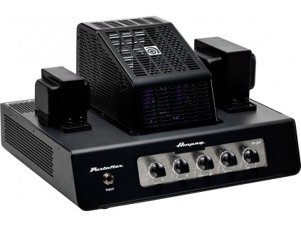 ampeg pf 20t portaflex