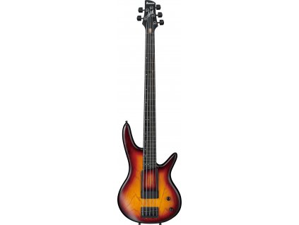 Ibanez GWB205-TQF