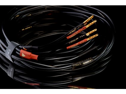 Cable4 Black SPEAKER 2BAN-2BAN 2x2m