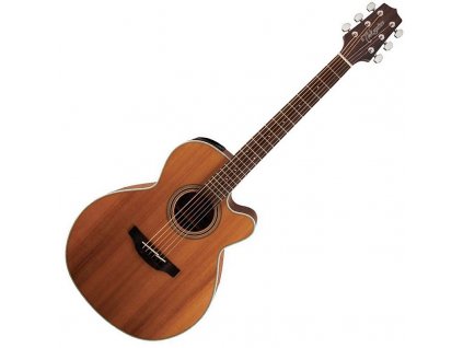 Takamine GN20CE-NS