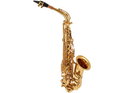 Bacio Instruments BAS 100 5