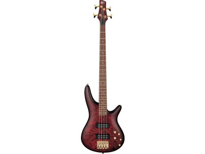 SR300EDX WZM 01