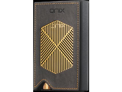 X5 Leather case (3) – kópia