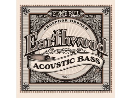 Ernie Ball Acoustic Earthwood Acoustic.045-.095