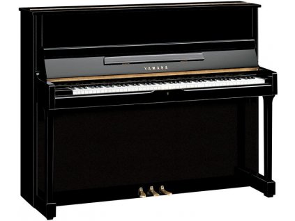 Yamaha SU118 Polished Ebony