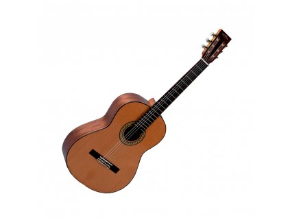 Sigma Guitars CM-6NF