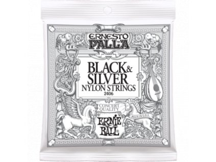 Ernie Ball Ernesto Palla Black Silver.028-.042