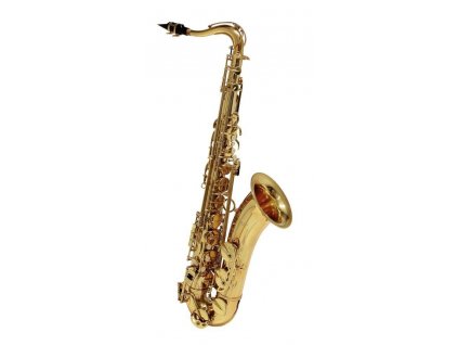 Conn Bb-Tenor Saxophone TS650 TS650