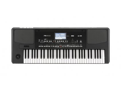 KORG Pa300