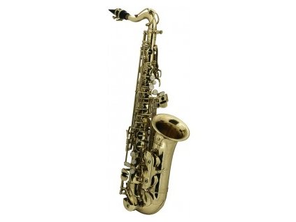 GEWA Eb-Alto Saxophone Roy Benson AS-202 AS-202