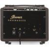 Ibanez T15 Troubadour (vystavené)