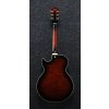 Ibanez AG95QA-DBS