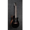 Ibanez AEG50N-BKH