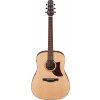 Ibanez AAD100E-OPN