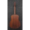Ibanez AAD100-OPN