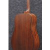 Ibanez AAD100-OPN
