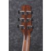 Ibanez AAD100-OPN