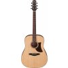 Ibanez AAD100-OPN