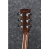 Ibanez ACFS580CE-OPS