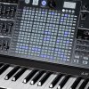 Arturia MatrixBrute Noir Edition