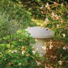 WEB Littora OD Sub Light Illus 02 cce592b1 293a 4a58 87b9 7f0a244ae7b8 4000x.progressive