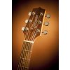 Takamine GD30CE-NAT