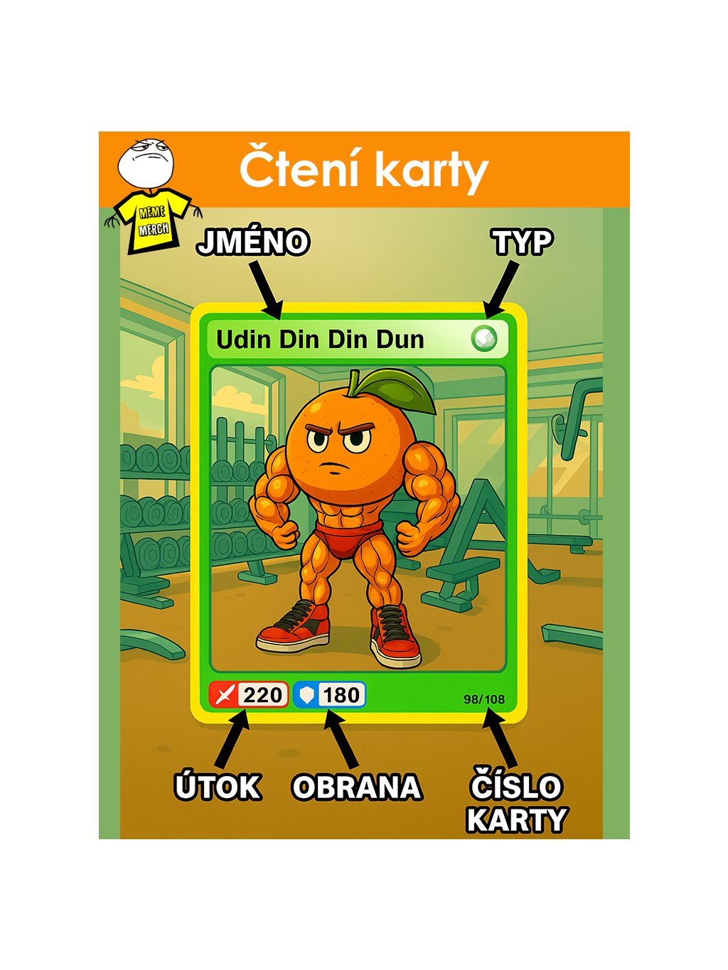 Čtení kartičky