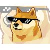 cool doge design