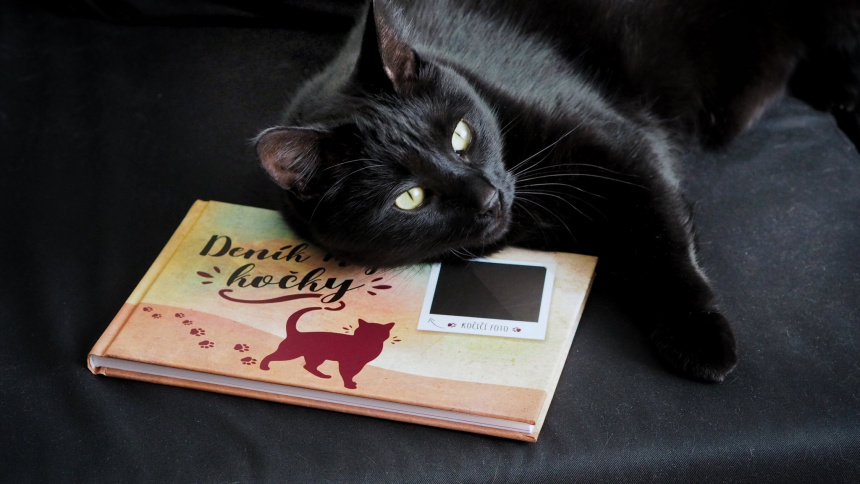 Jak jsem napsal Deník mojí kočky