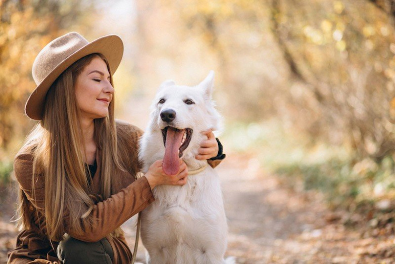 Na výlet s pejskem? Zde je 5 dog-friendly procházek