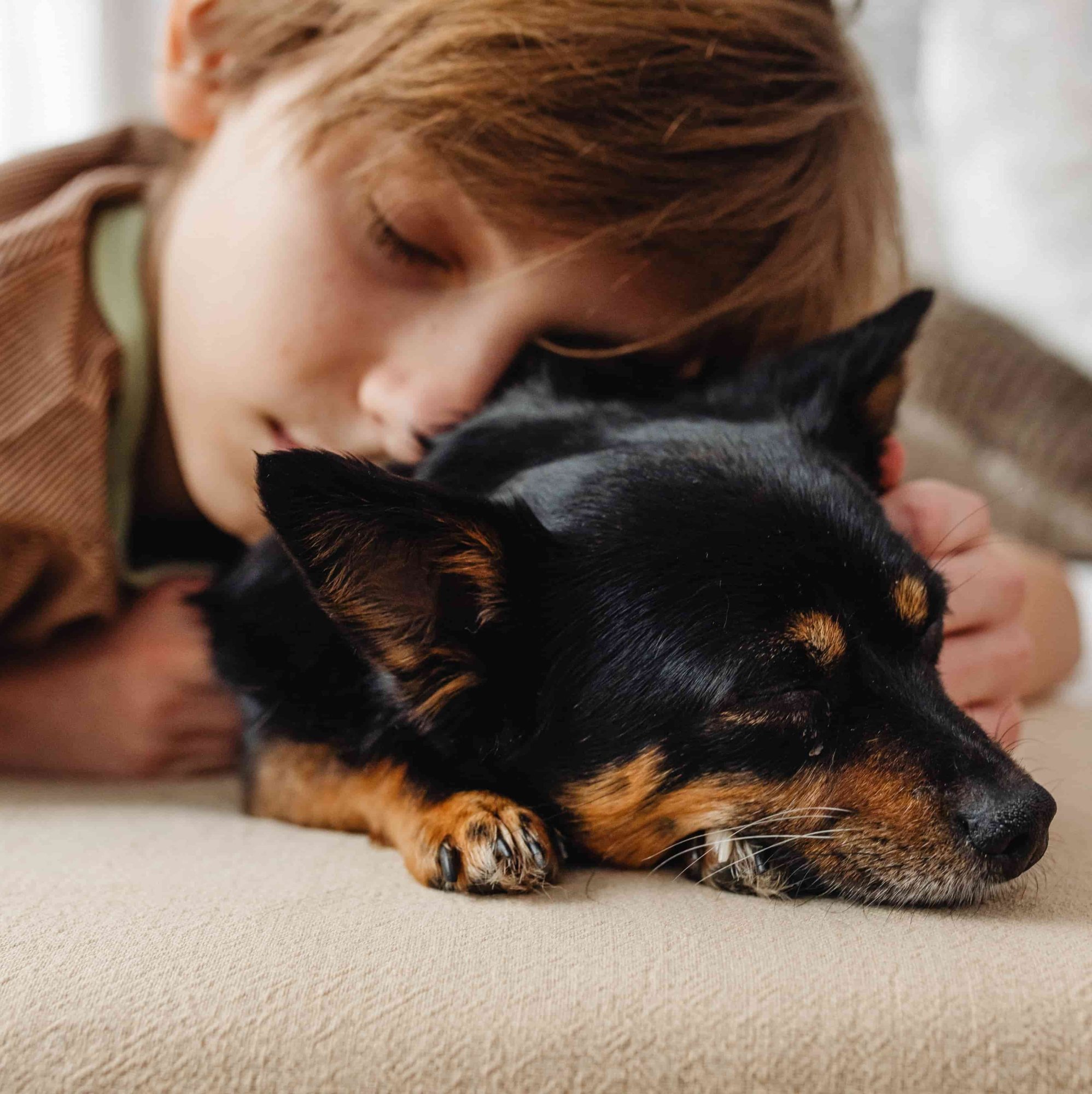 Co dělat, když mi odešel pes nebo kočka? První kroky v bolesti.