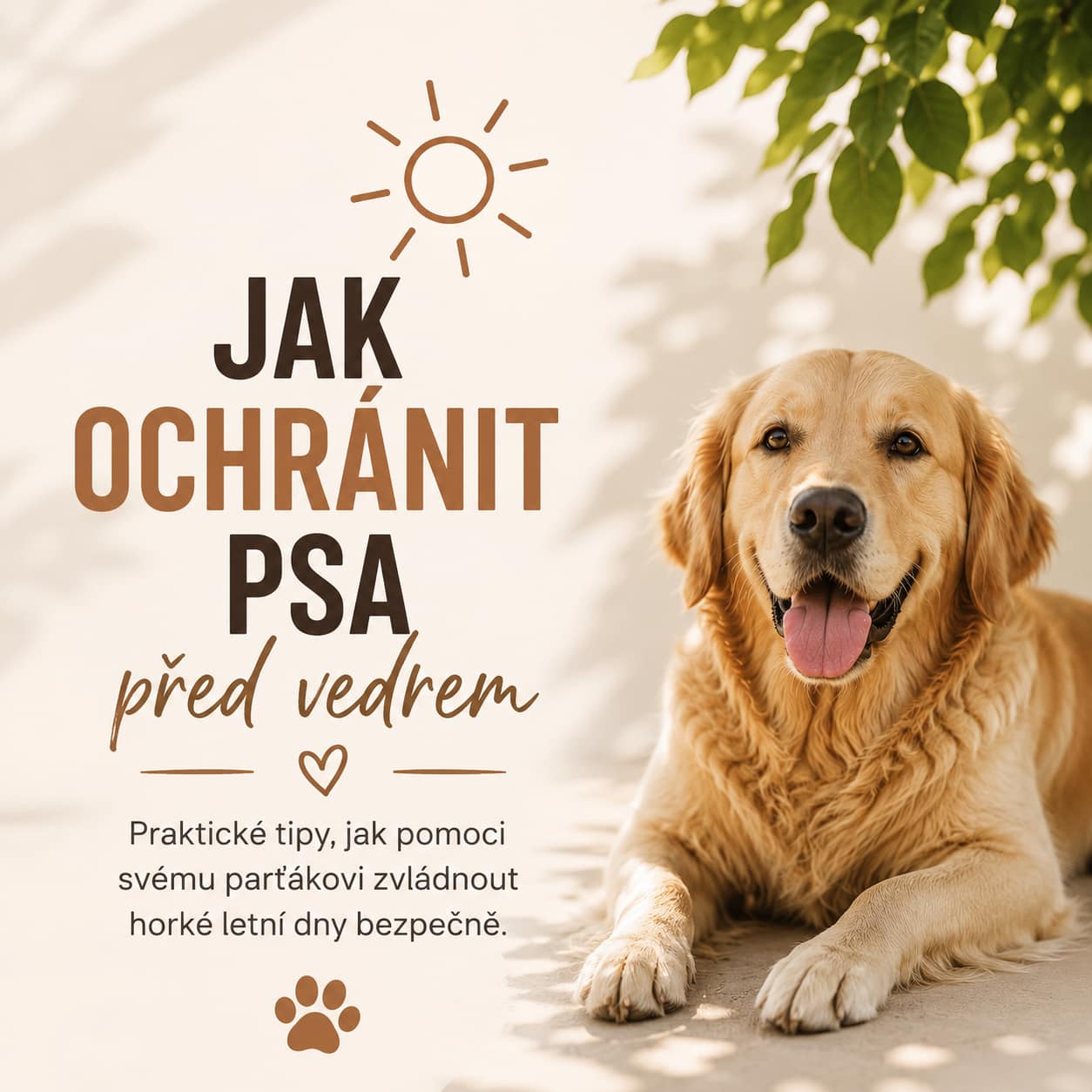 Jak ochránit psa před vedrem