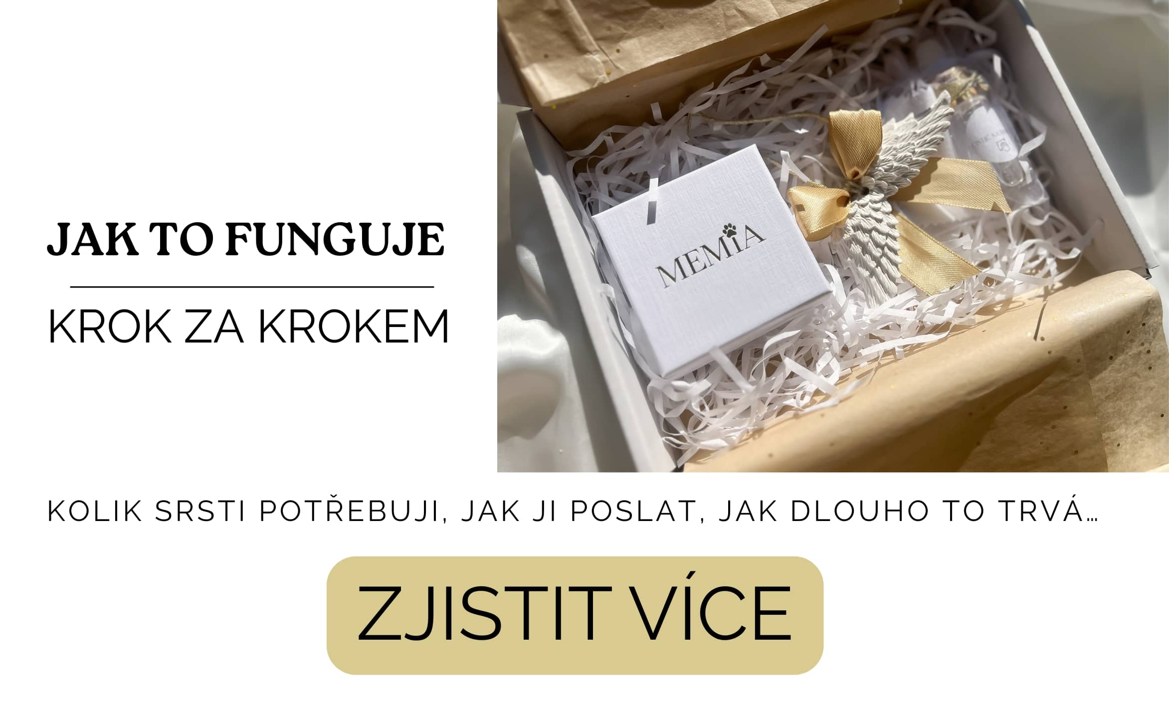 JAK-TO-FUNGUJE