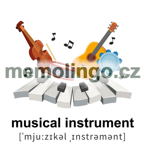 musical instrument