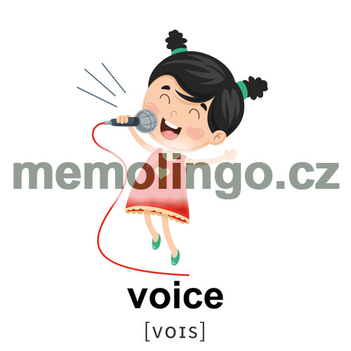 voice