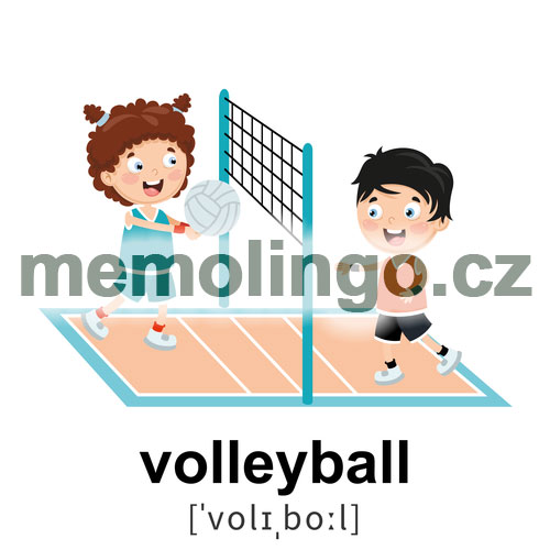 volleyball