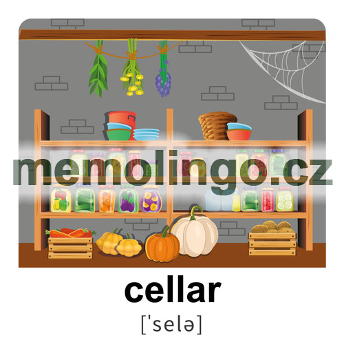 cellar