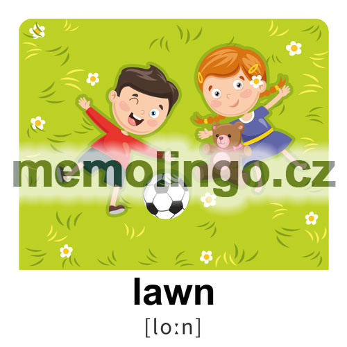 lawn