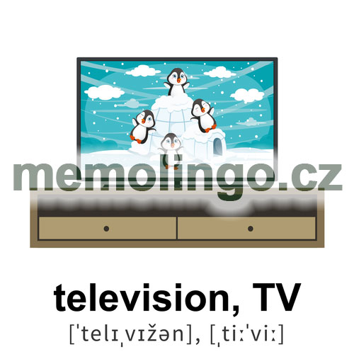 television, TV