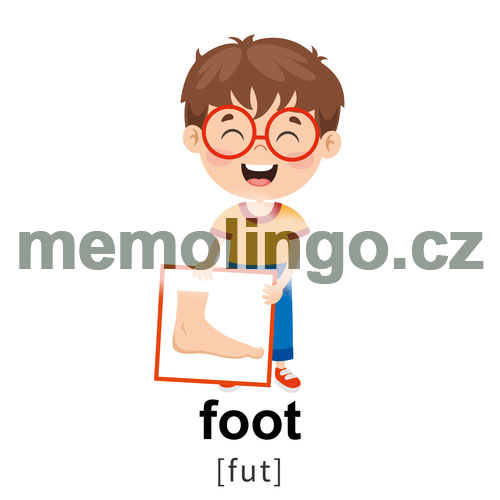 foot