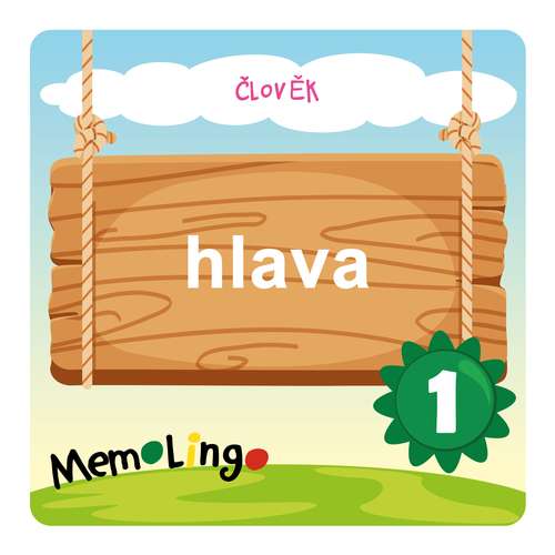 hlava