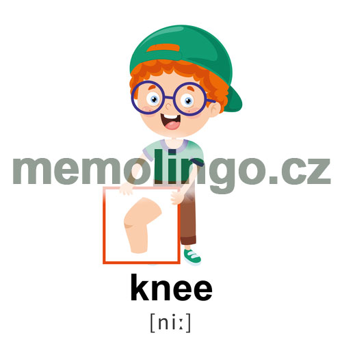 knee