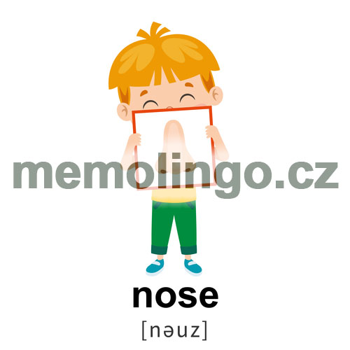 nose