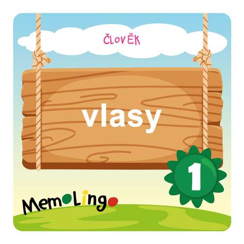 vlasy