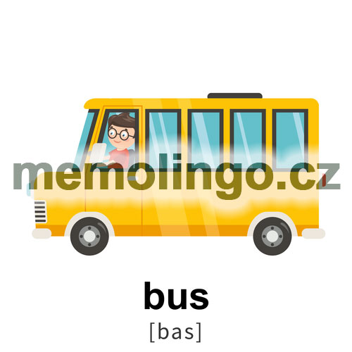 bus